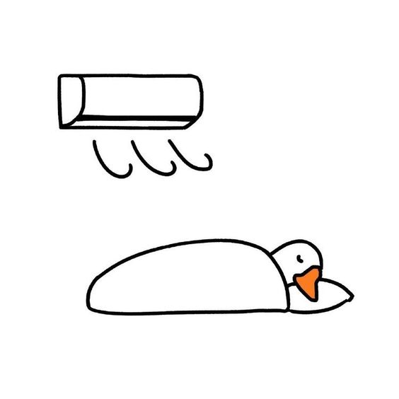 duck sleeping with a blanket on